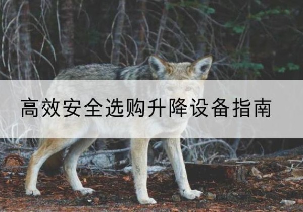二连浩特升降货梯厂家推荐-*安全选购升降设备指南