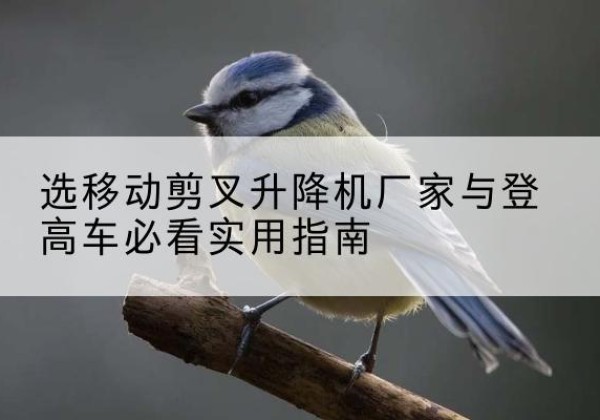 二连浩特电动升降机厂家-选移动剪叉升降机厂家与登高车必看实用指南